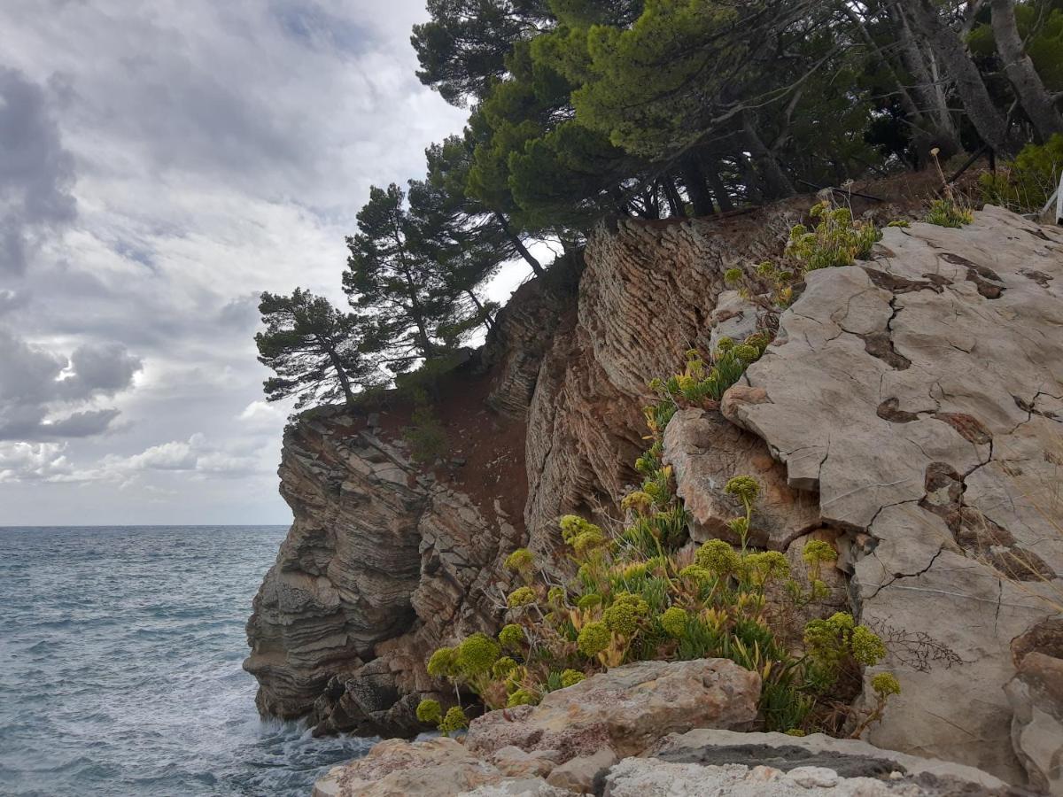 Sea-Side Old Stone Villa With A Private Garden Budva Luaran gambar