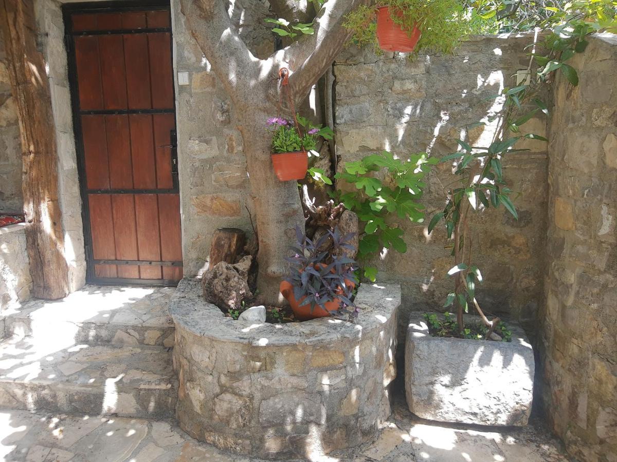 Sea-Side Old Stone Villa With A Private Garden Budva Luaran gambar