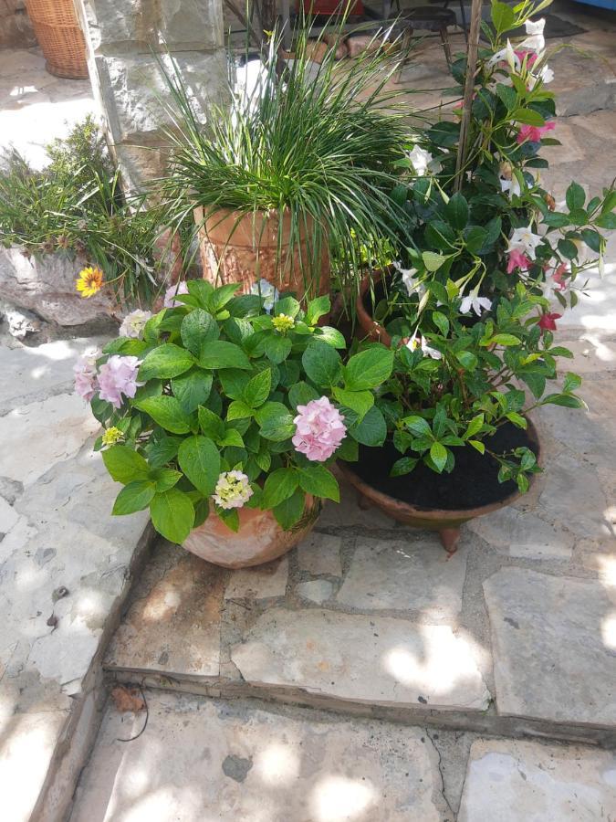 Sea-Side Old Stone Villa With A Private Garden Budva Luaran gambar