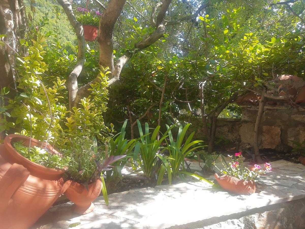Sea-Side Old Stone Villa With A Private Garden Budva Luaran gambar