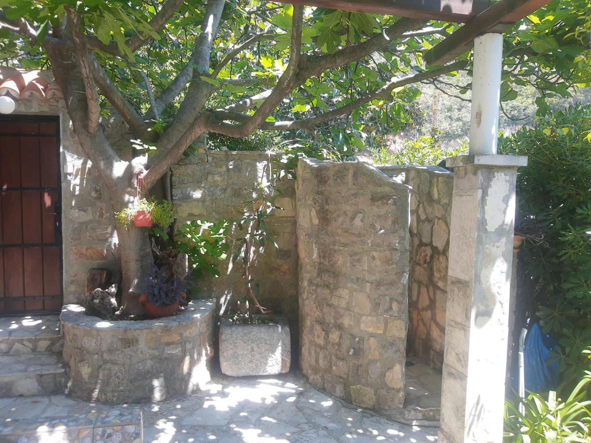 Sea-Side Old Stone Villa With A Private Garden Budva Luaran gambar