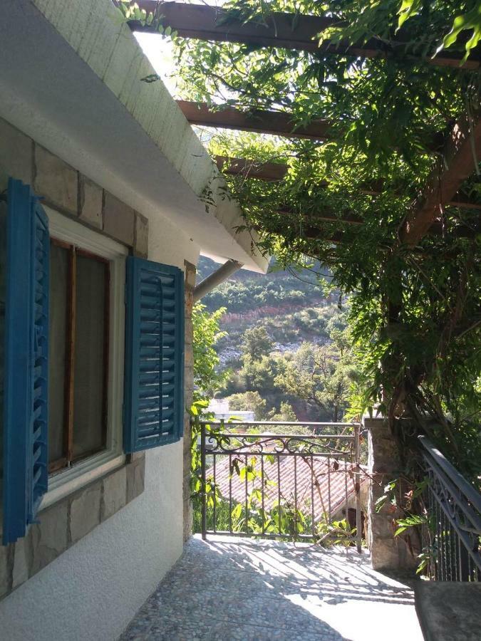 Sea-Side Old Stone Villa With A Private Garden Budva Luaran gambar